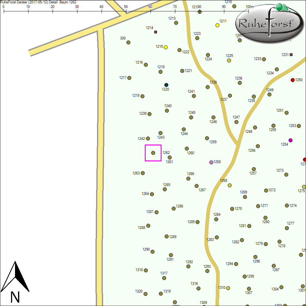 Detailkarte zu Baum 1262