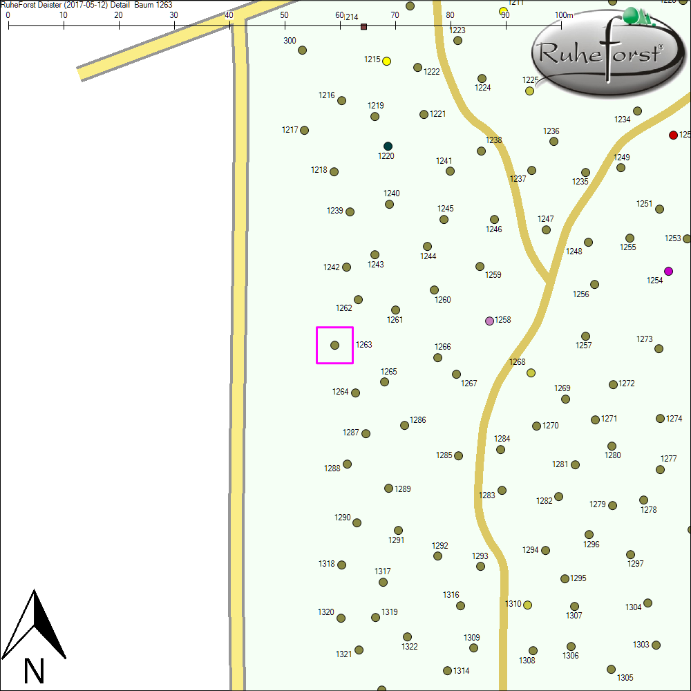 Detailkarte zu Baum 1263