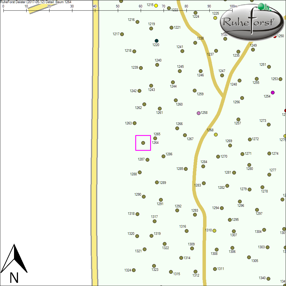 Detailkarte zu Baum 1264
