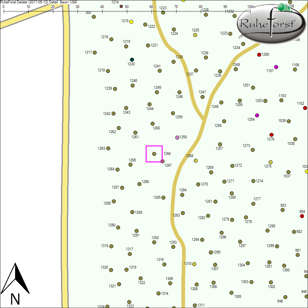 Detailkarte zu Baum 1266