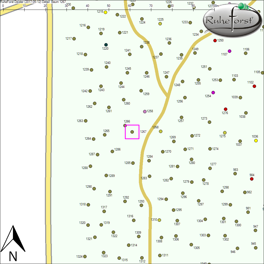 Detailkarte zu Baum 1267