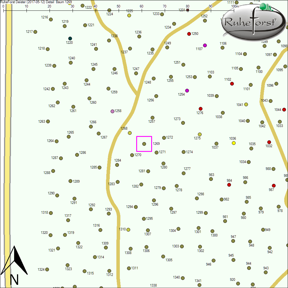 Detailkarte zu Baum 1269