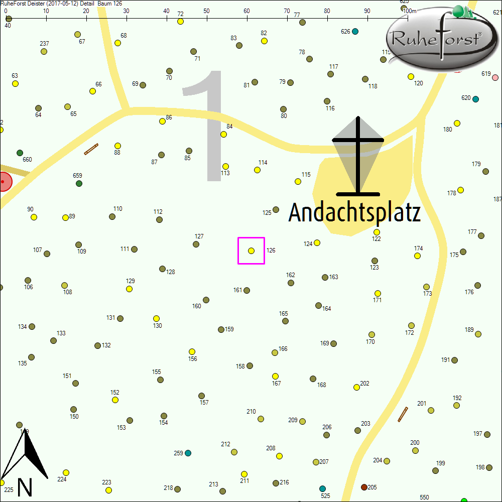 Detailkarte zu Baum 126