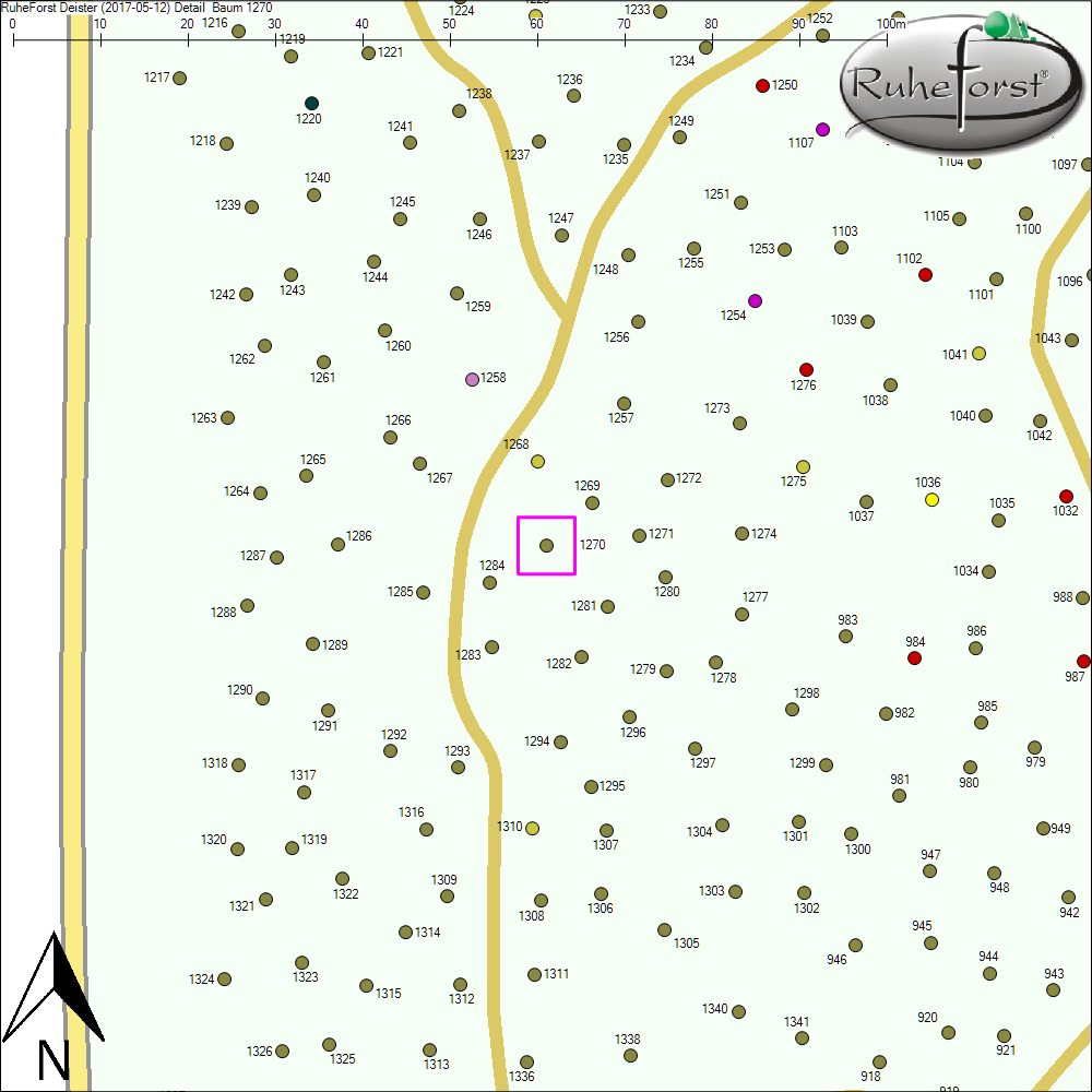Detailkarte zu Baum 1270
