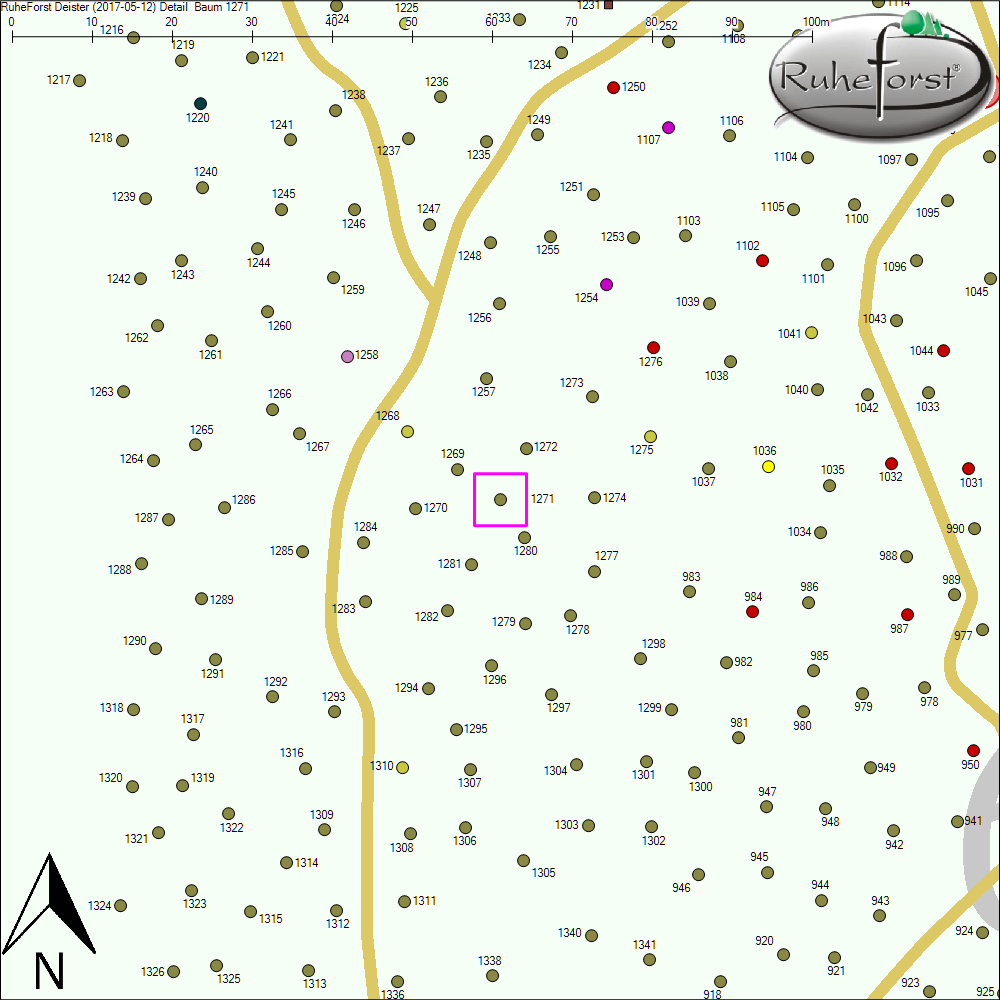 Detailkarte zu Baum 1271