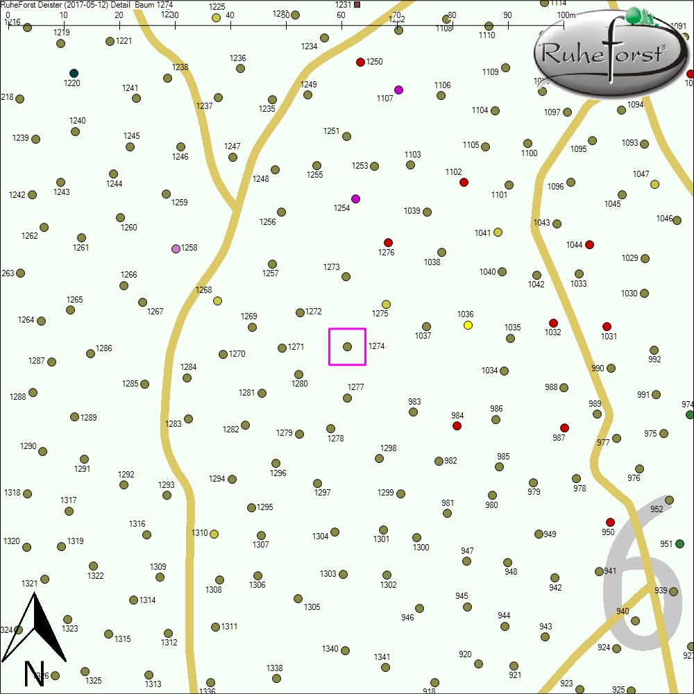 Detailkarte zu Baum 1274