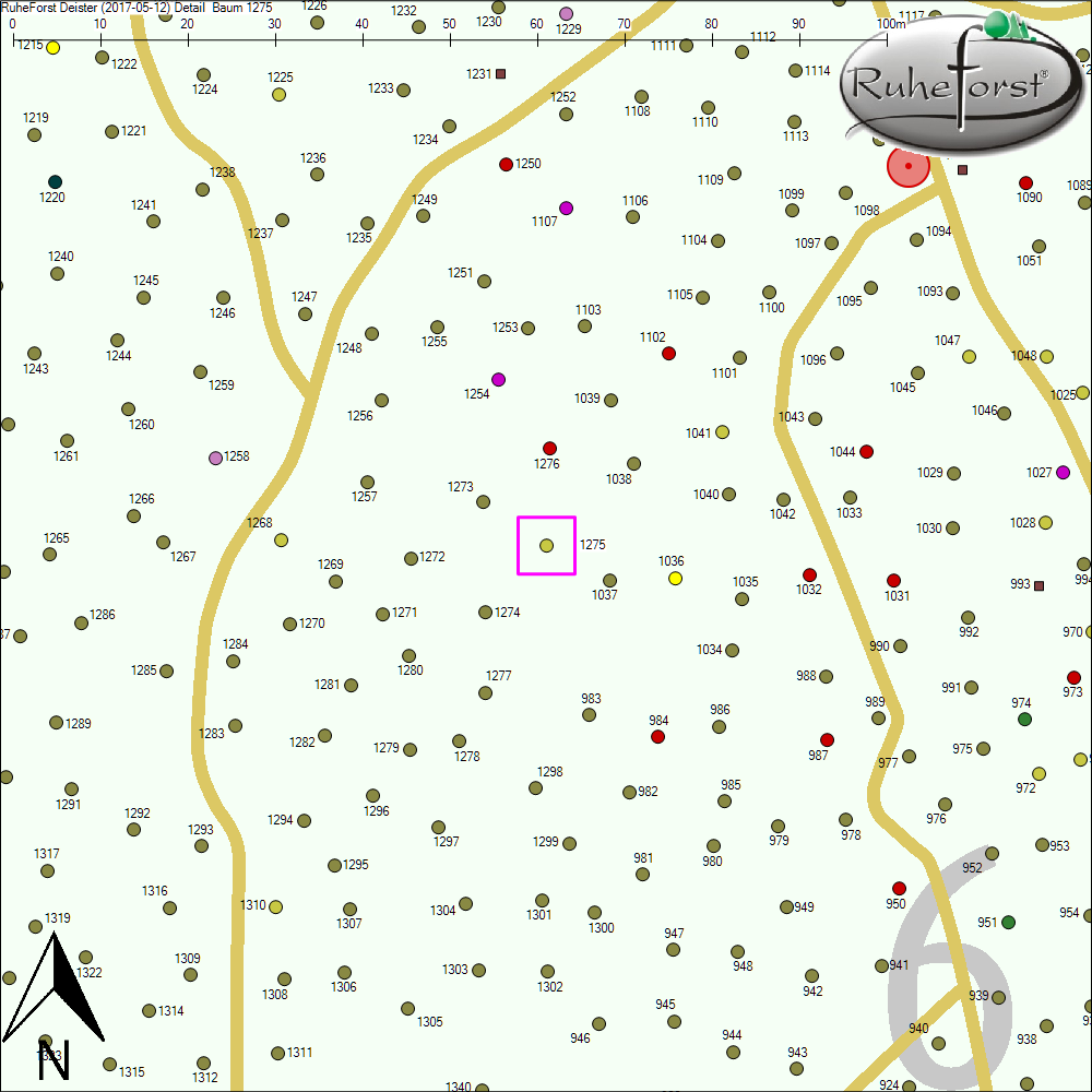 Detailkarte zu Baum 1275