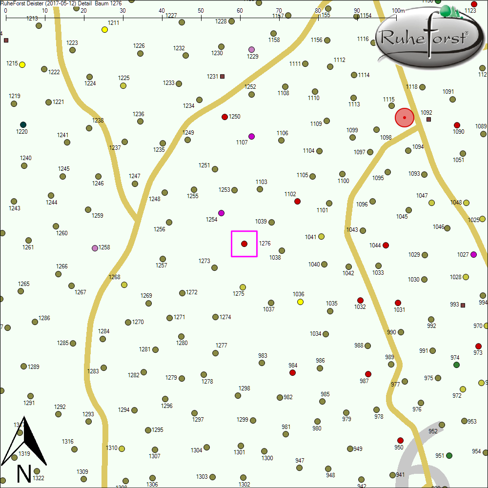 Detailkarte zu Baum 1276