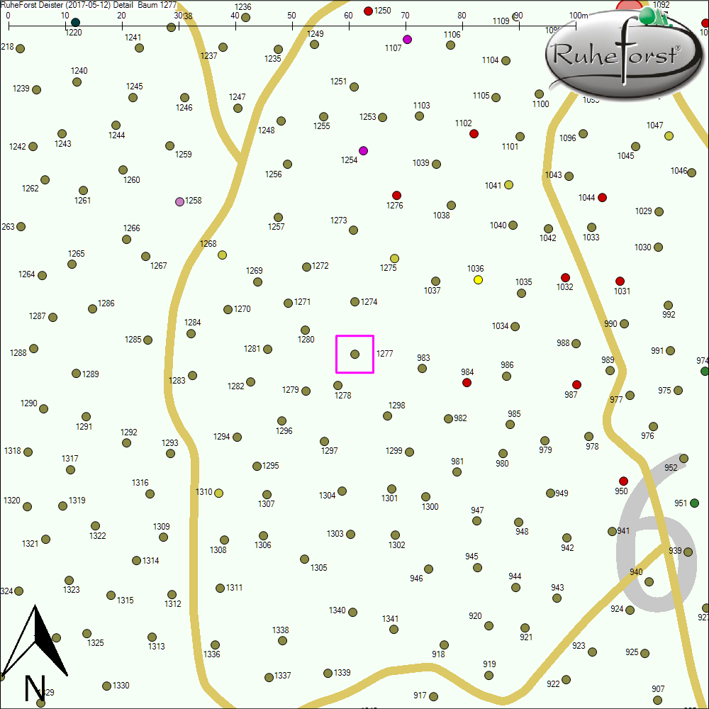 Detailkarte zu Baum 1277