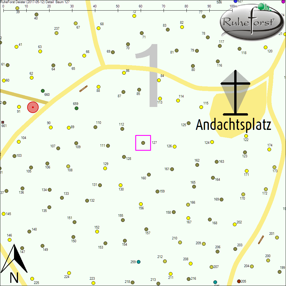 Detailkarte zu Baum 127