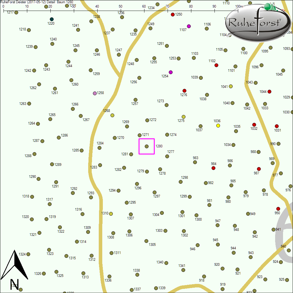 Detailkarte zu Baum 1280