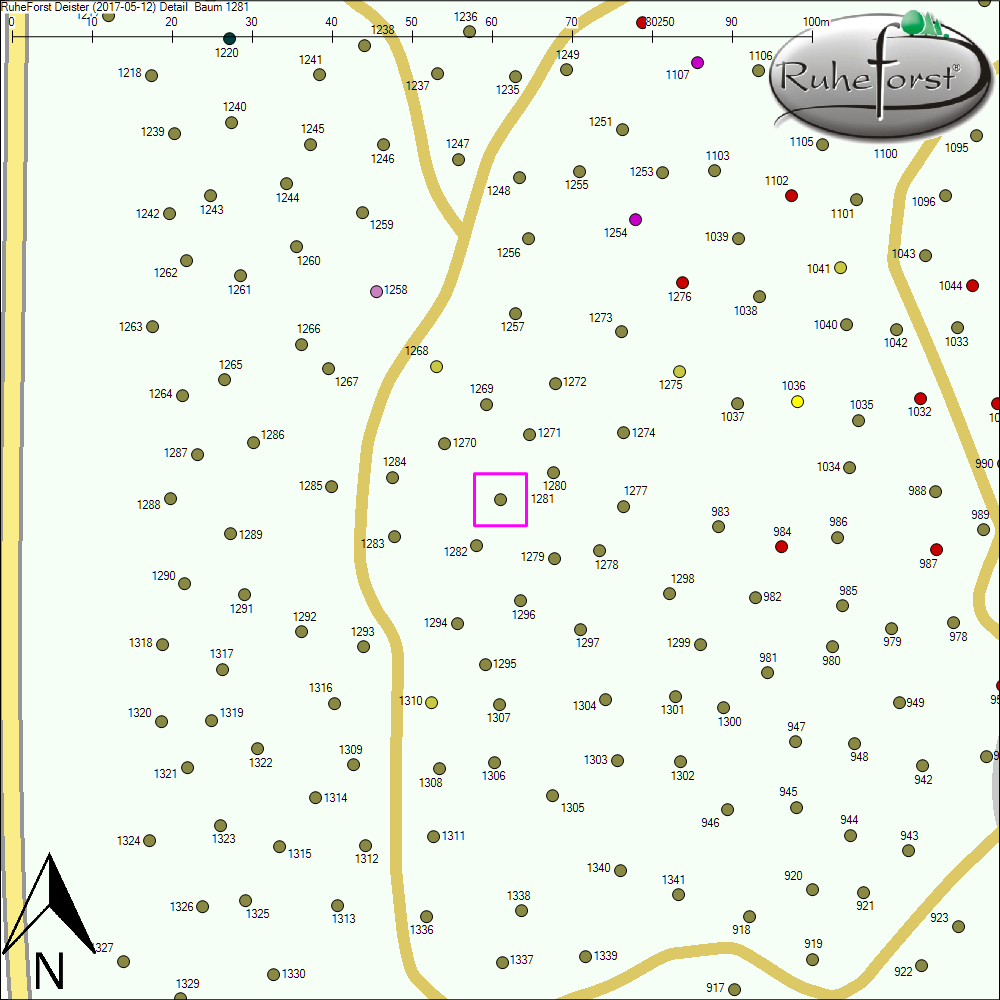 Detailkarte zu Baum 1281