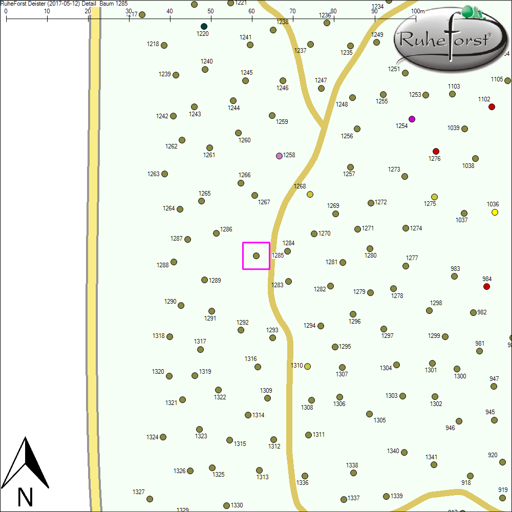 Detailkarte zu Baum 1285