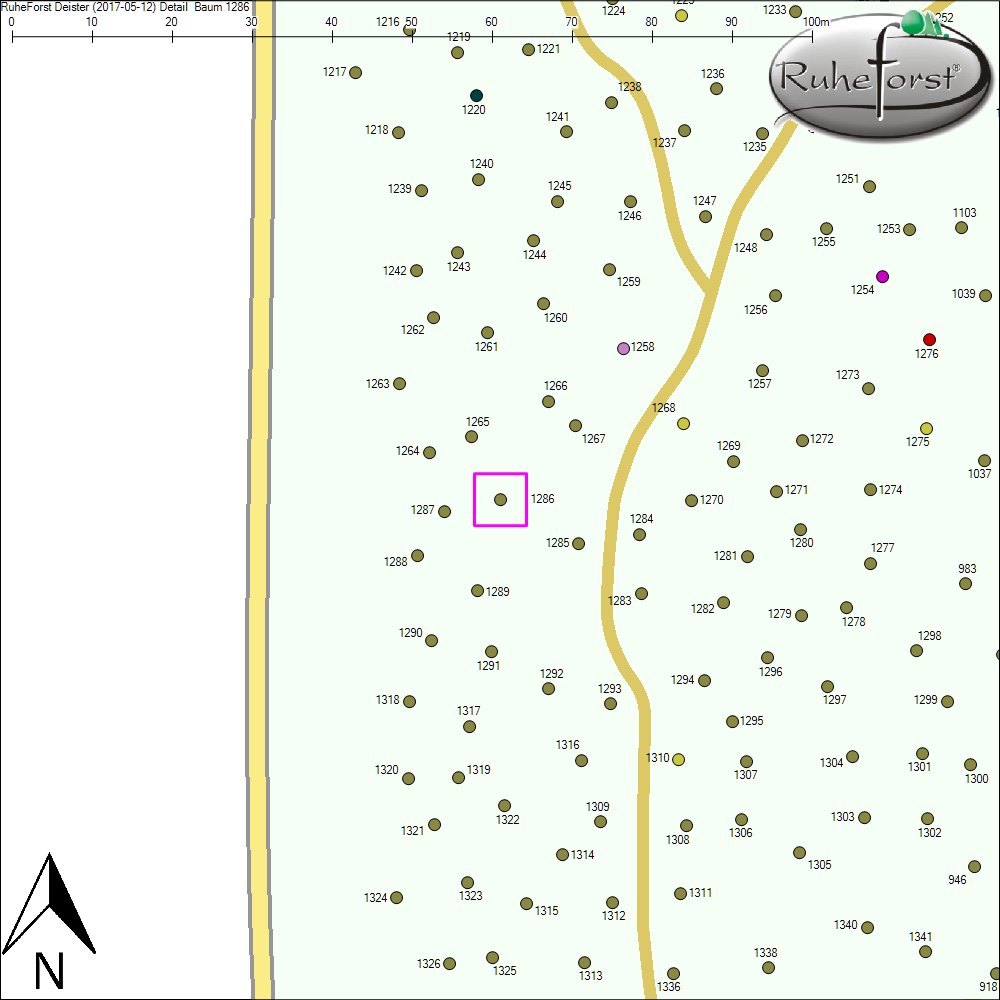 Detailkarte zu Baum 1286