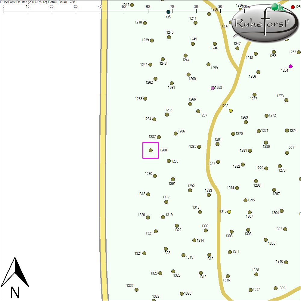 Detailkarte zu Baum 1288