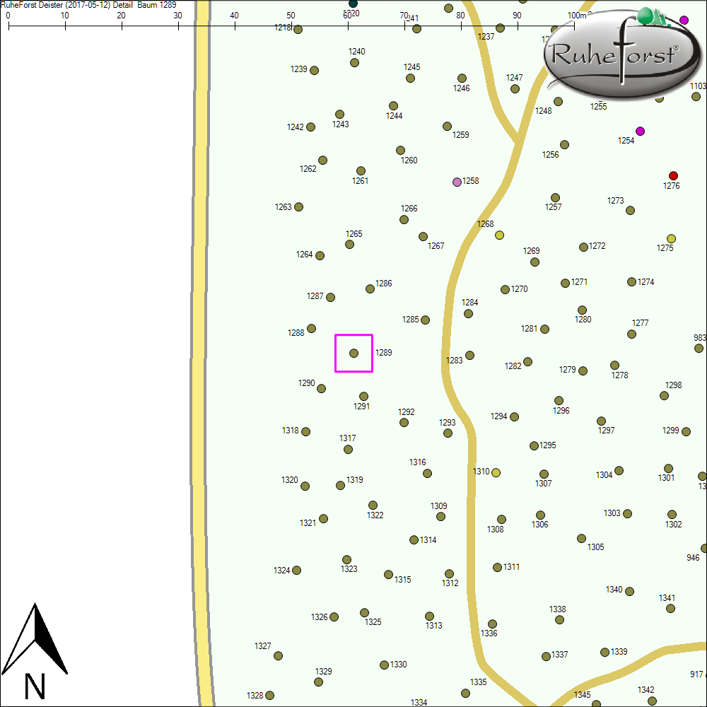 Detailkarte zu Baum 1289