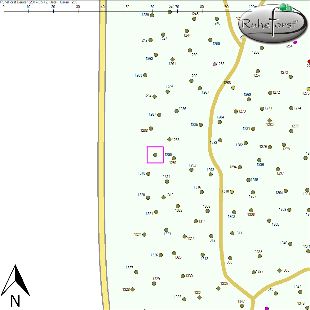 Detailkarte zu Baum 1290