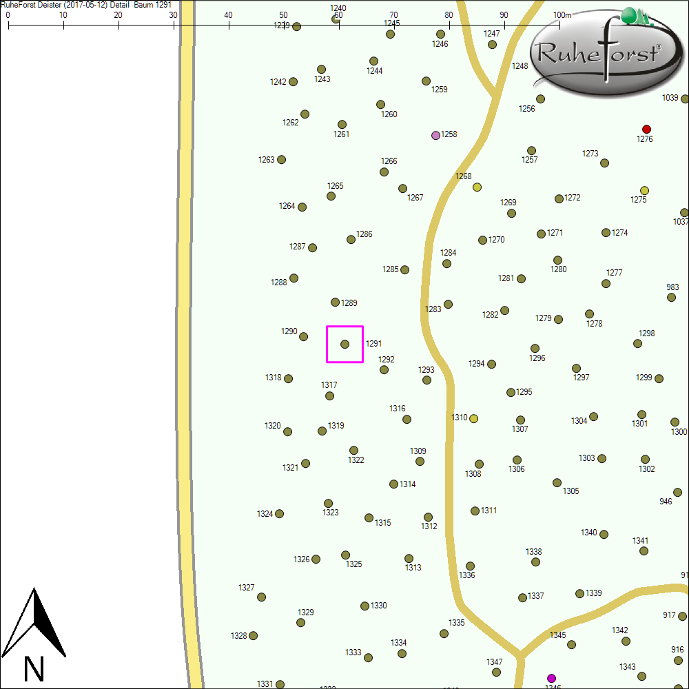 Detailkarte zu Baum 1291