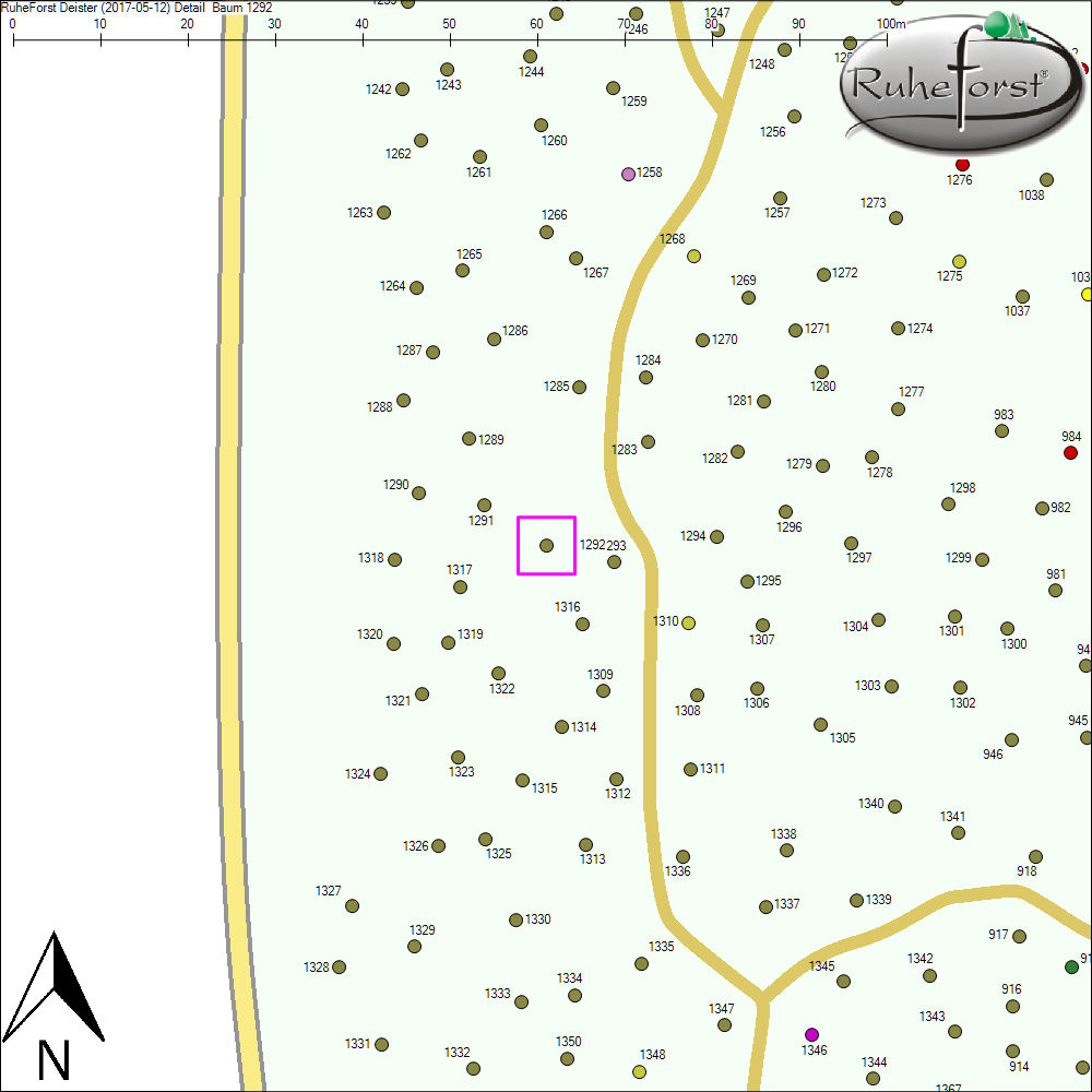 Detailkarte zu Baum 1292