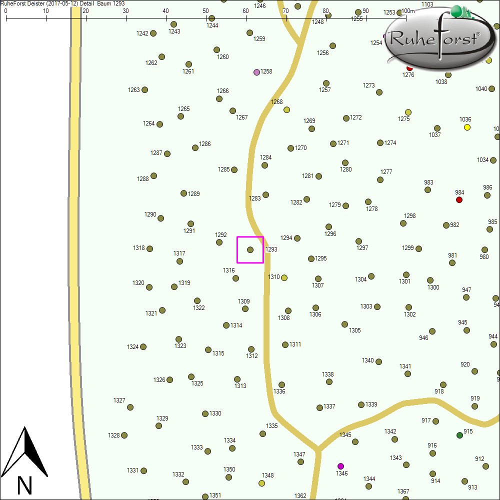 Detailkarte zu Baum 1293