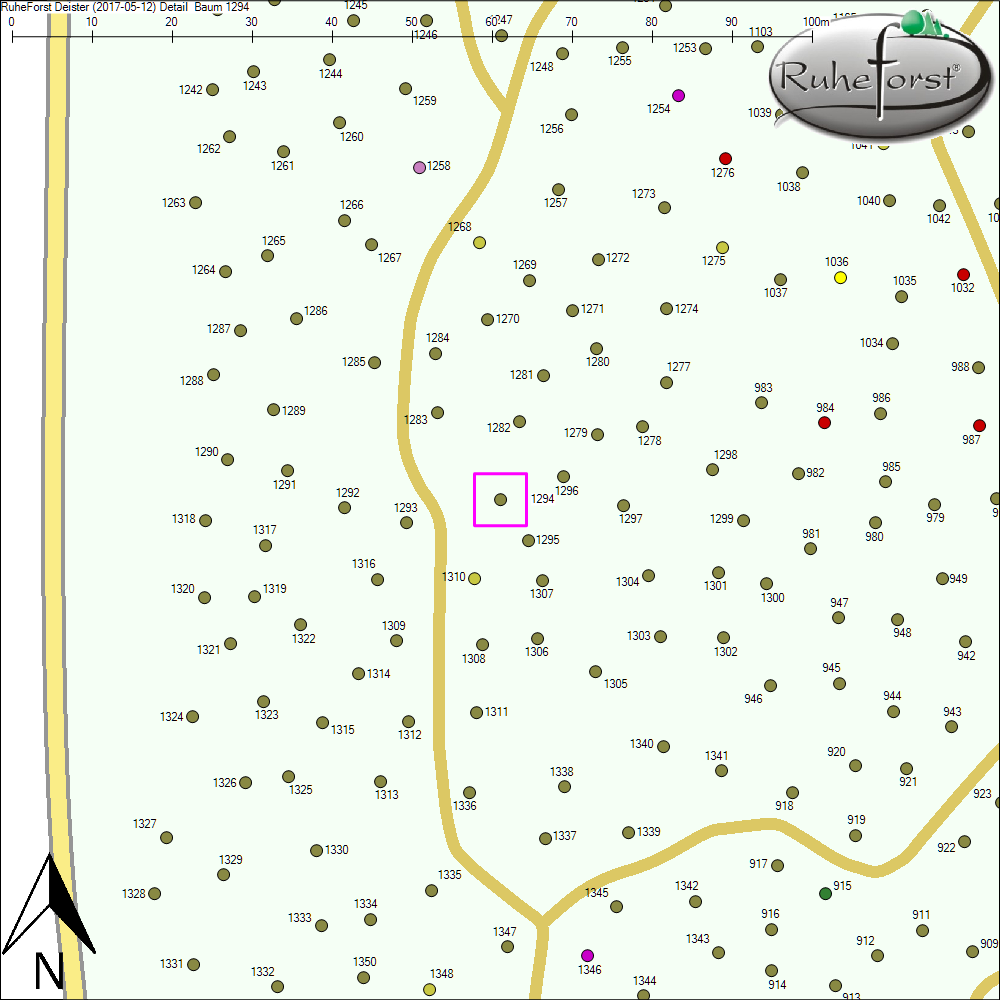 Detailkarte zu Baum 1294
