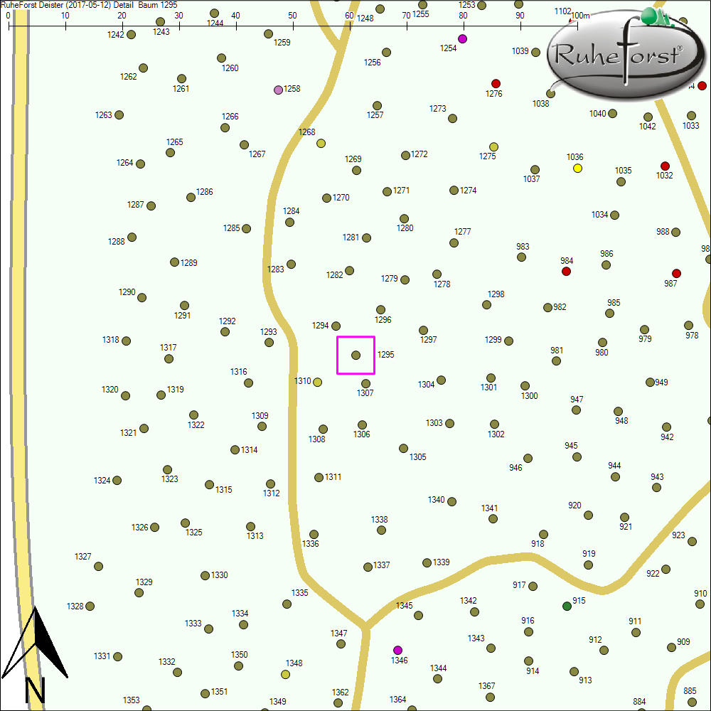 Detailkarte zu Baum 1295