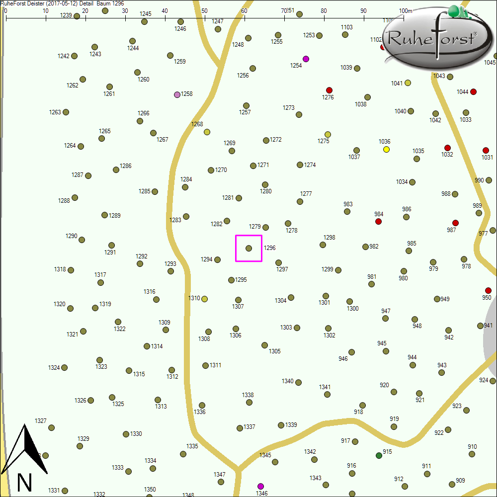 Detailkarte zu Baum 1296