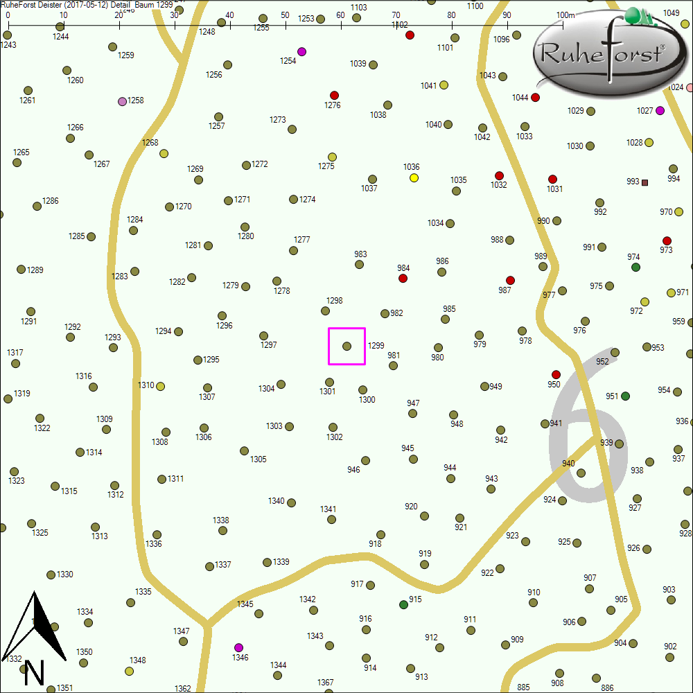 Detailkarte zu Baum 1299
