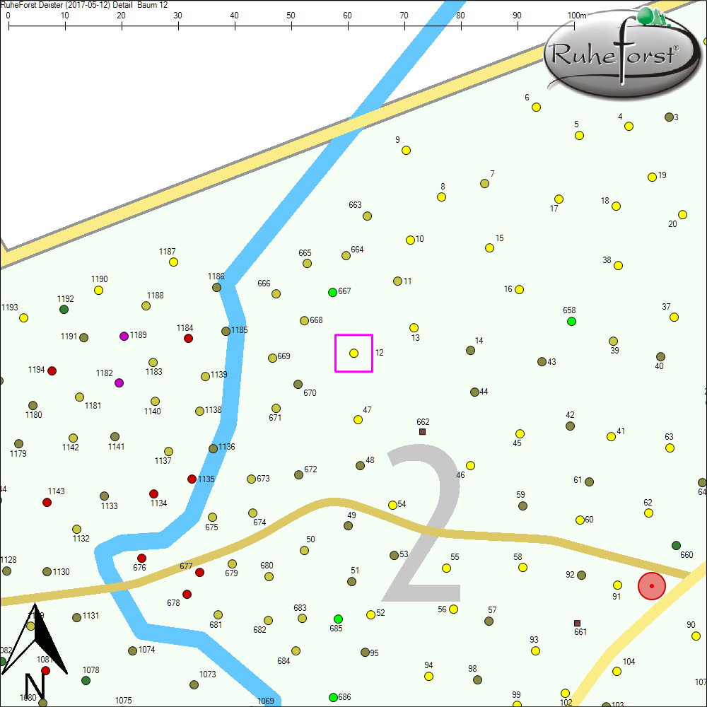Detailkarte zu Baum 12
