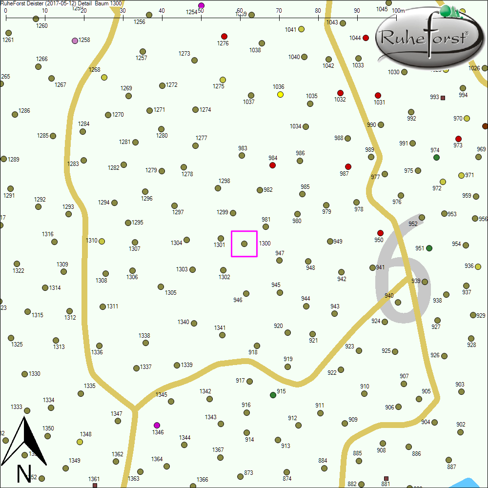 Detailkarte zu Baum 1300
