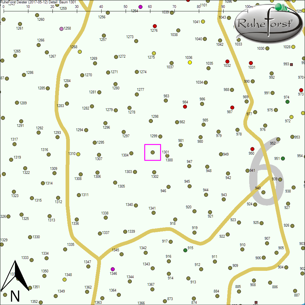 Detailkarte zu Baum 1301