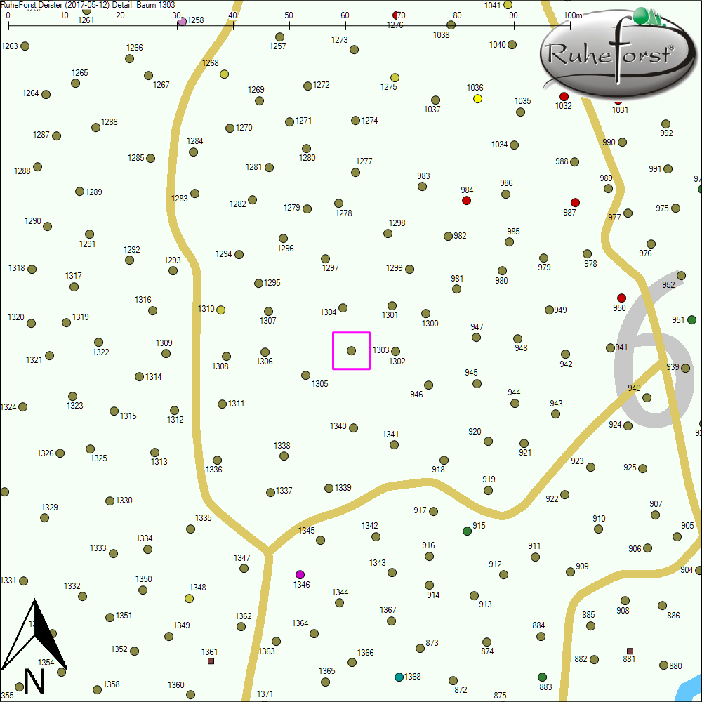 Detailkarte zu Baum 1303