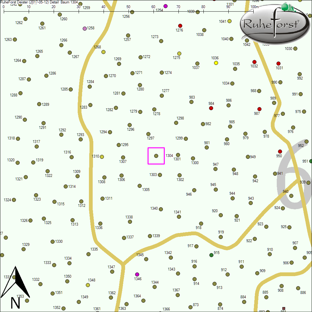 Detailkarte zu Baum 1304