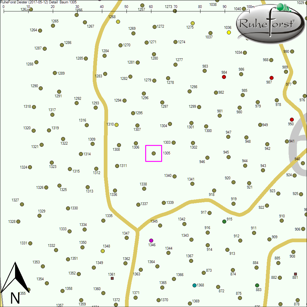 Detailkarte zu Baum 1305