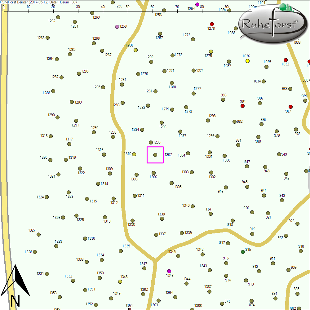 Detailkarte zu Baum 1307