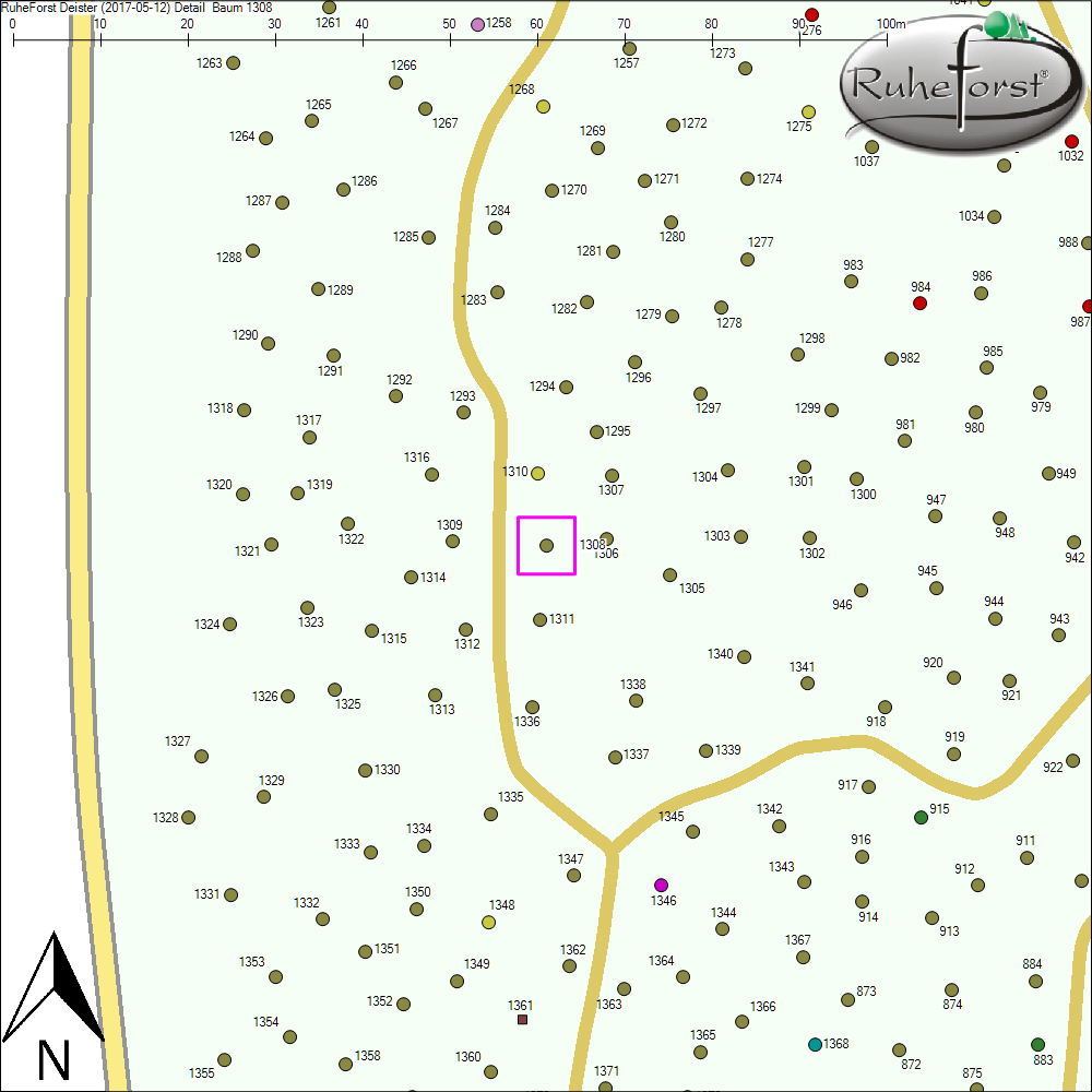 Detailkarte zu Baum 1308