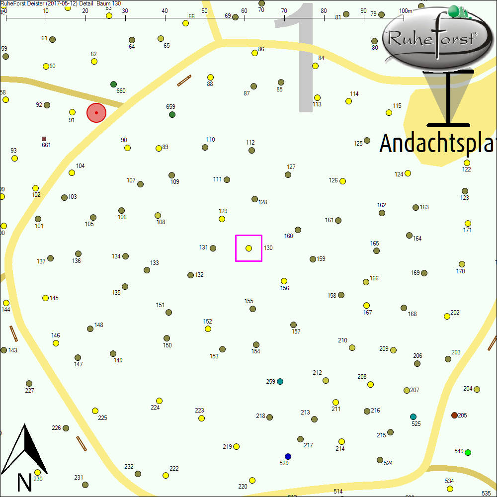 Detailkarte zu Baum 130