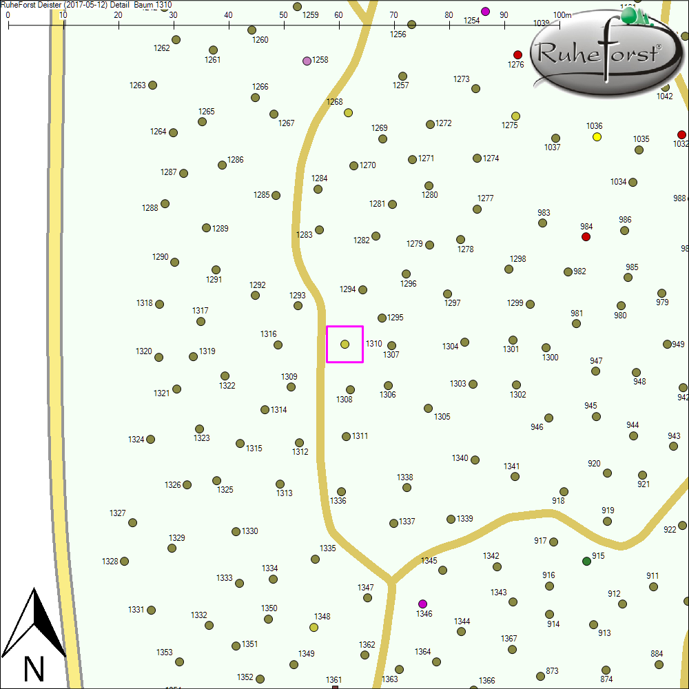 Detailkarte zu Baum 1310
