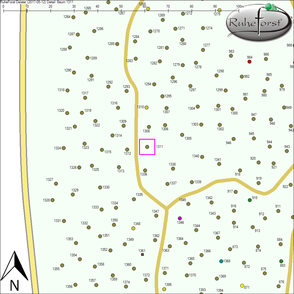 Detailkarte zu Baum 1311