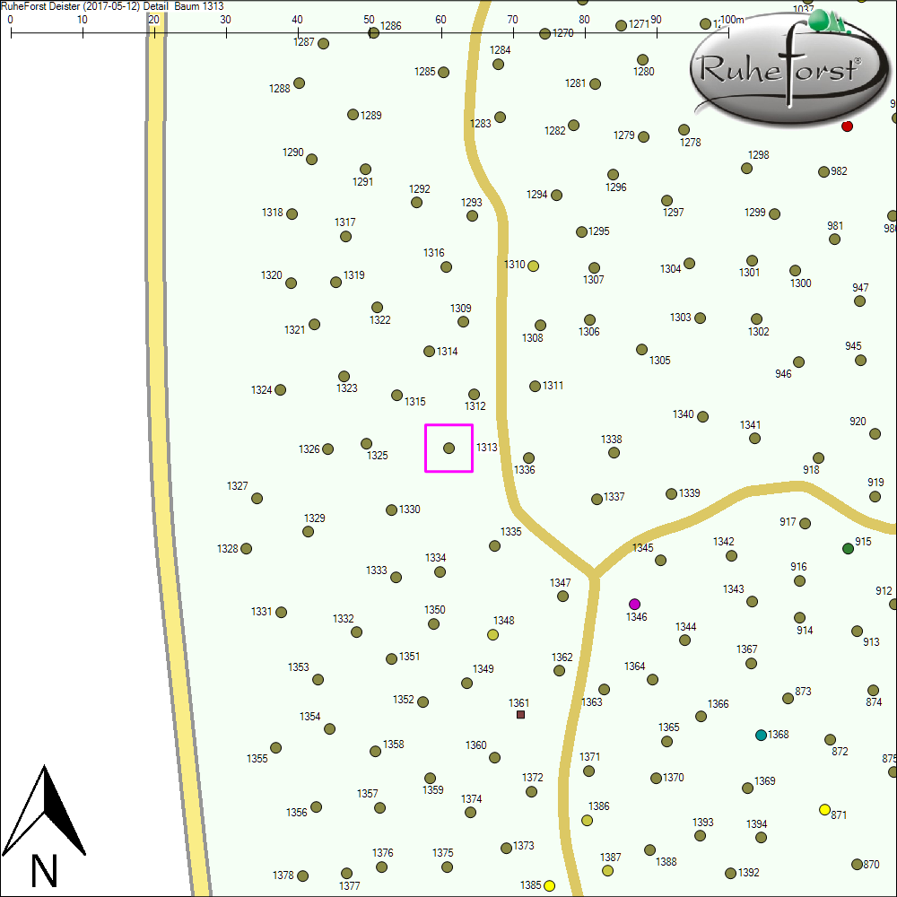 Detailkarte zu Baum 1313