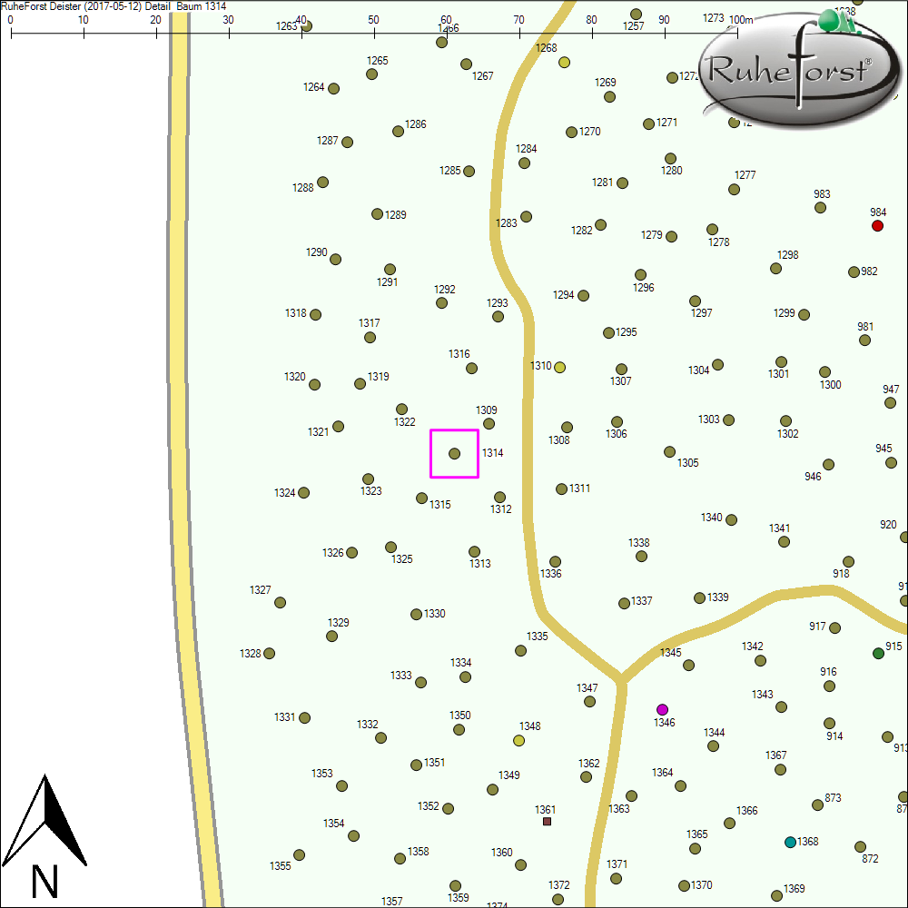 Detailkarte zu Baum 1314
