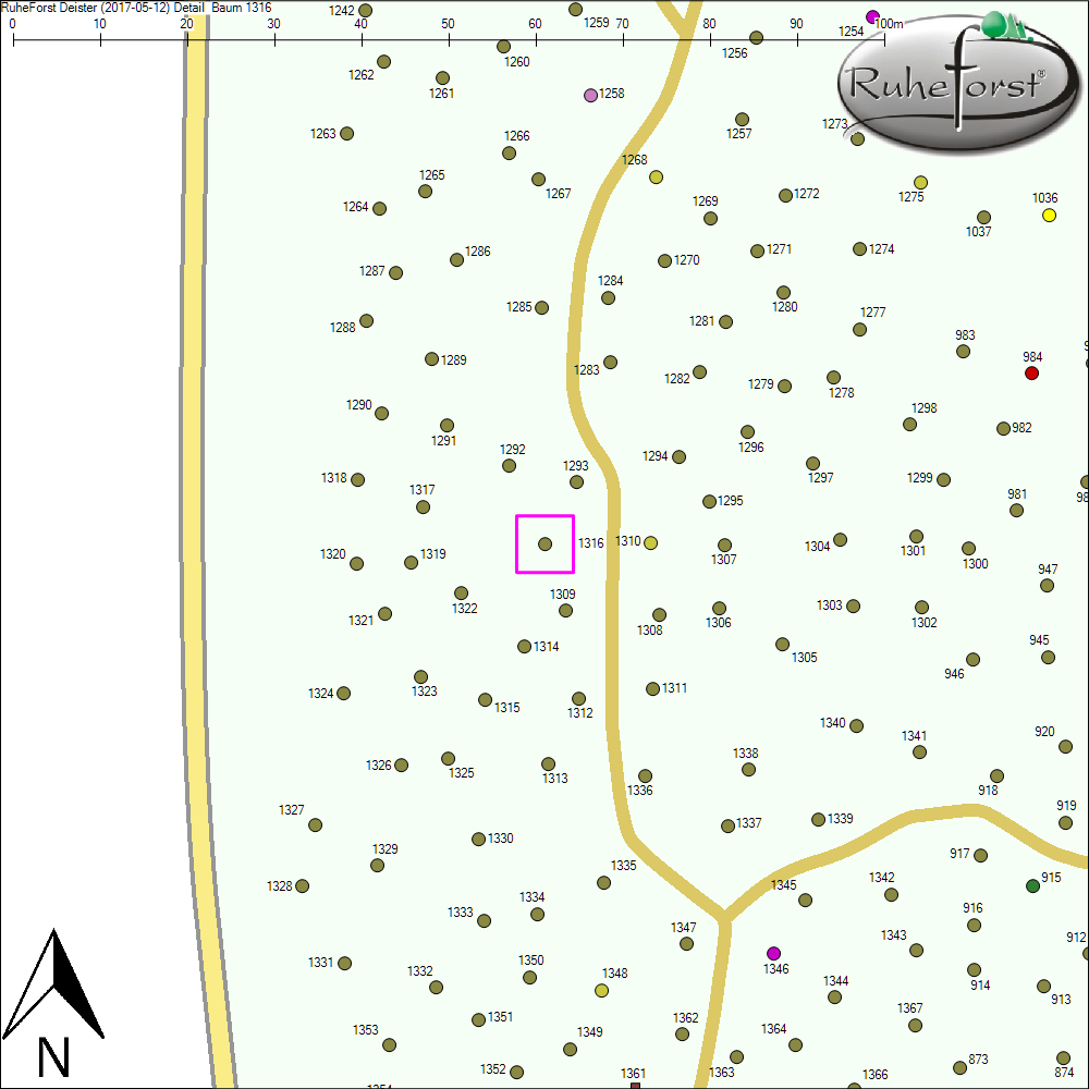 Detailkarte zu Baum 1316