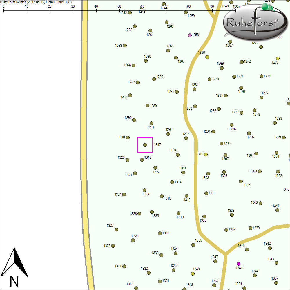 Detailkarte zu Baum 1317