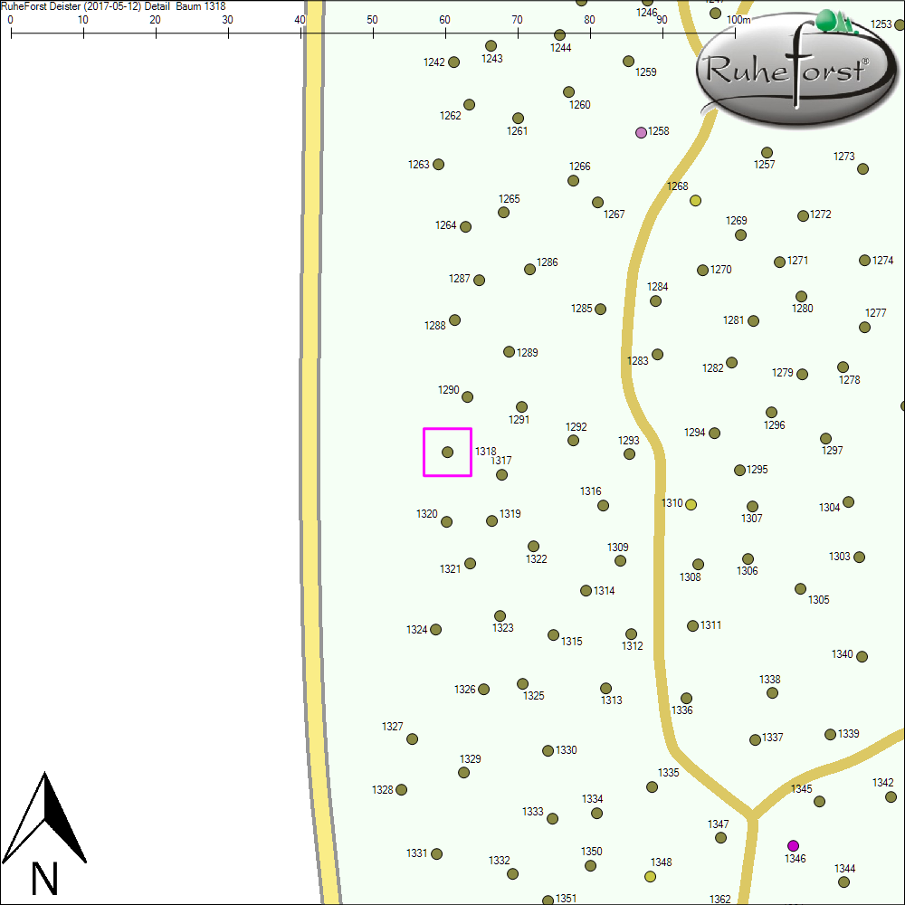 Detailkarte zu Baum 1318