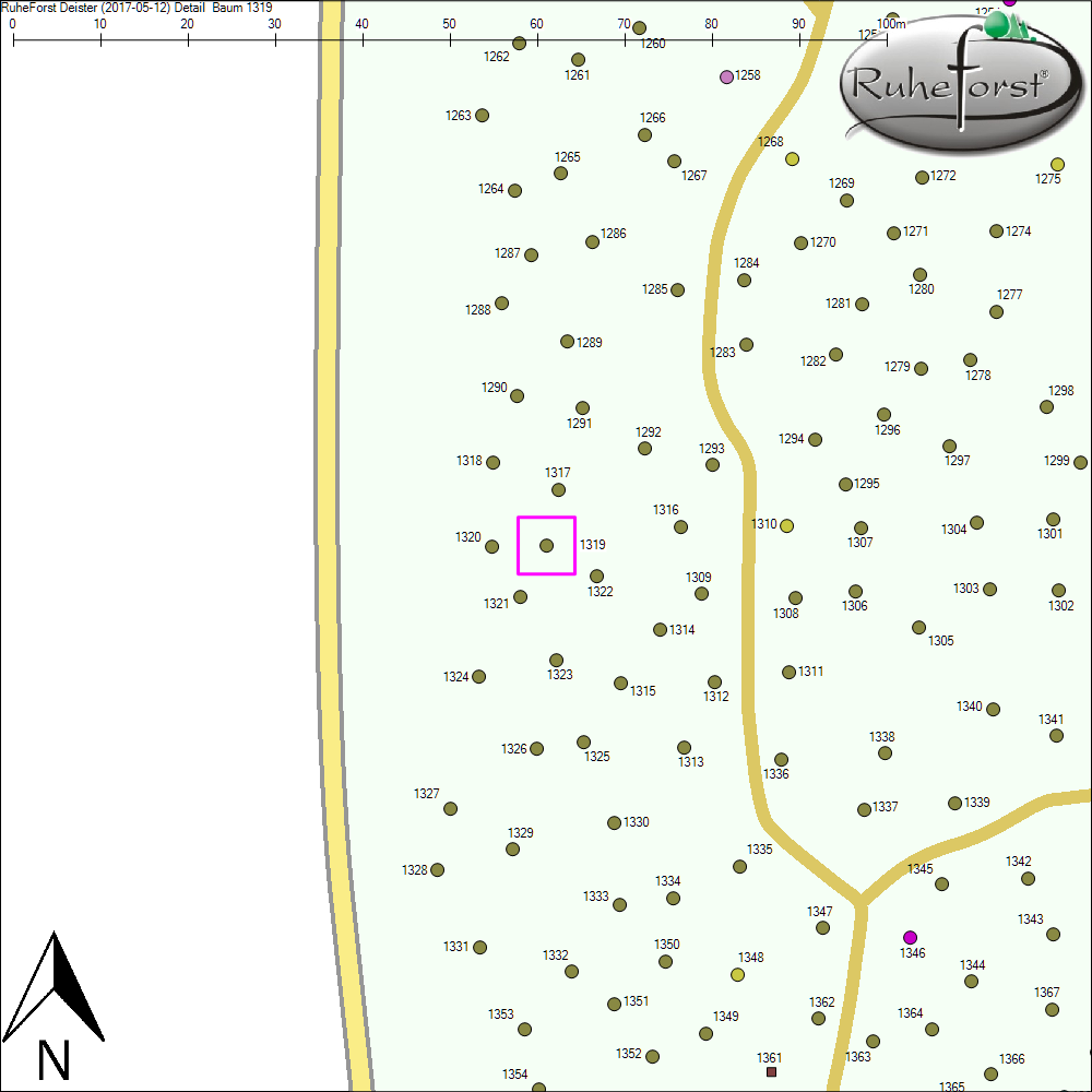 Detailkarte zu Baum 1319