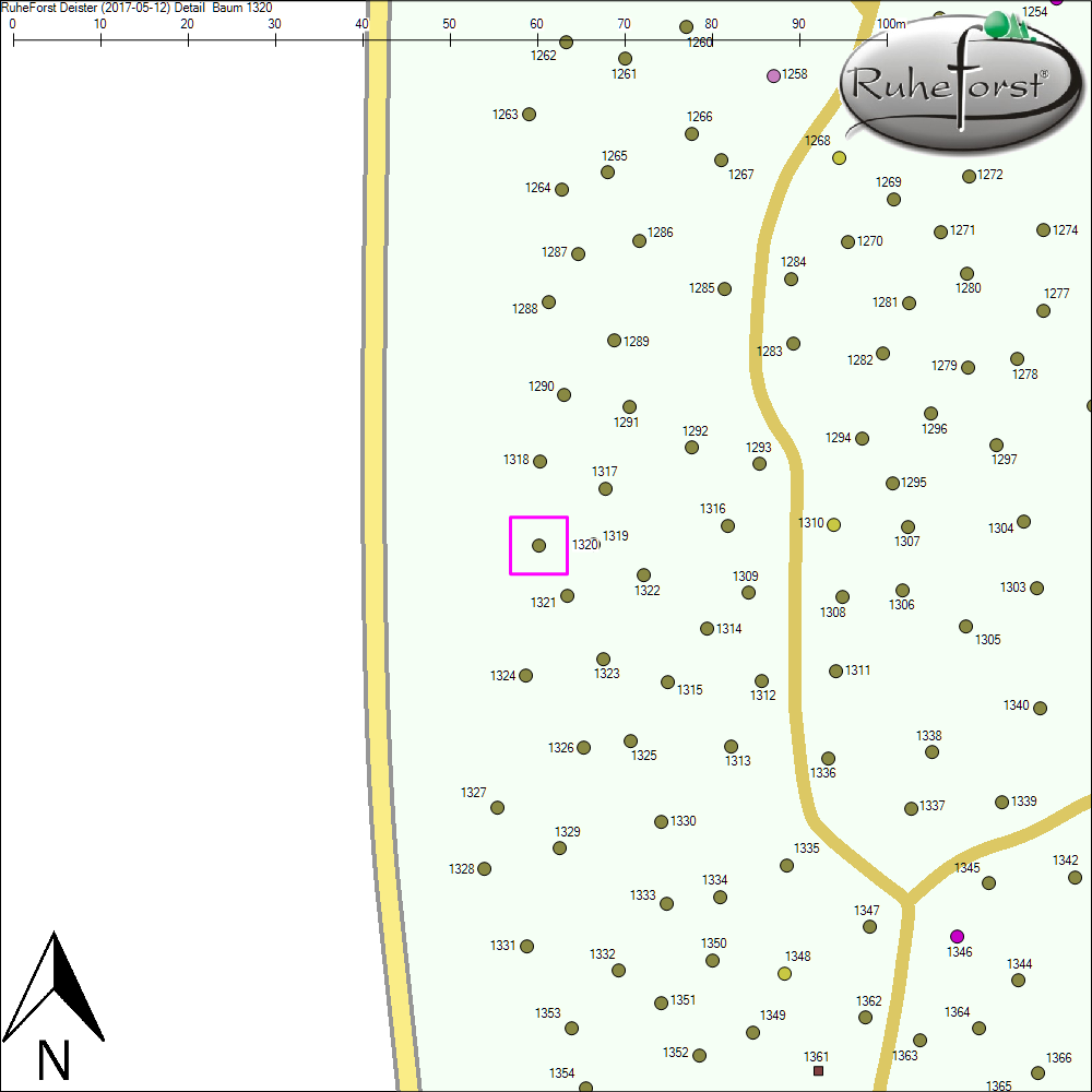 Detailkarte zu Baum 1320