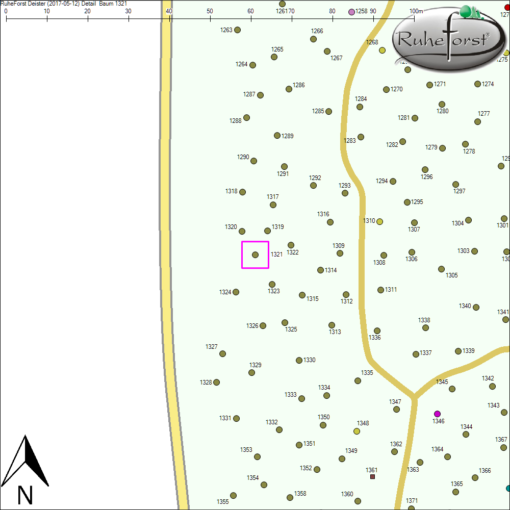 Detailkarte zu Baum 1321