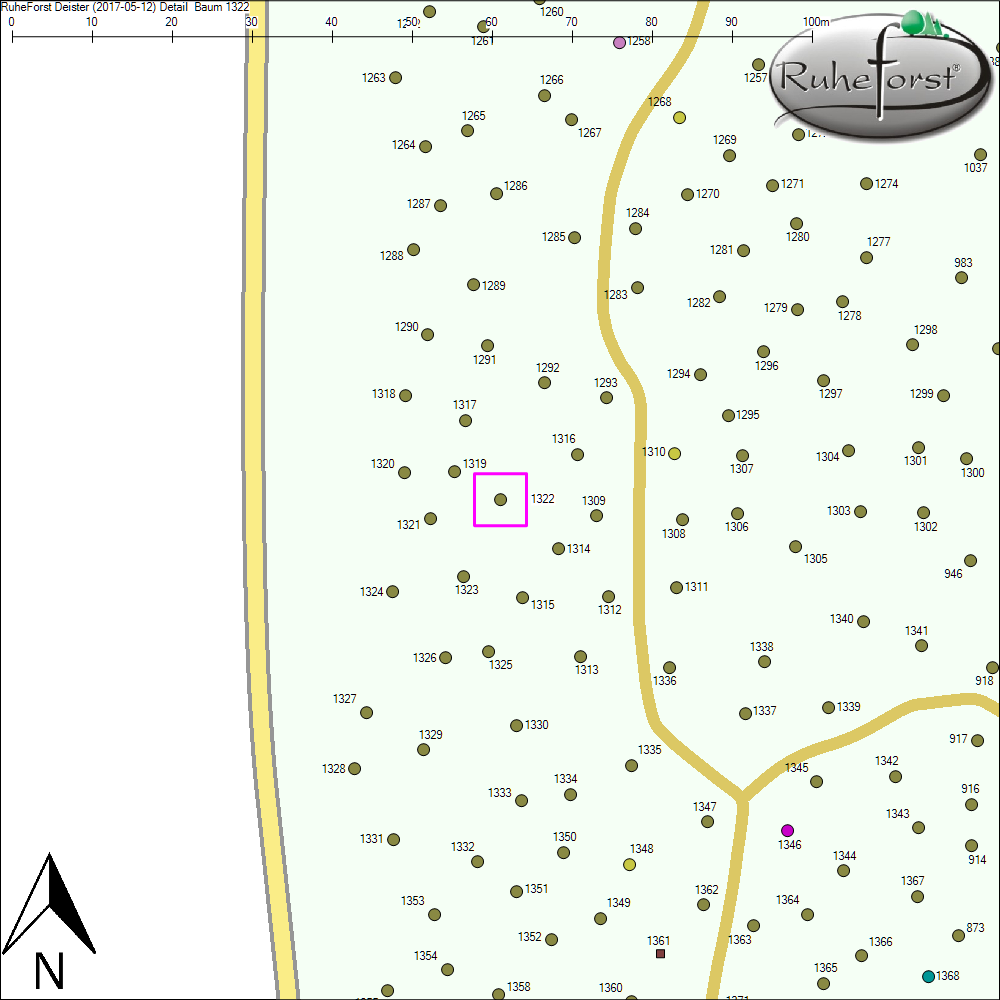 Detailkarte zu Baum 1322