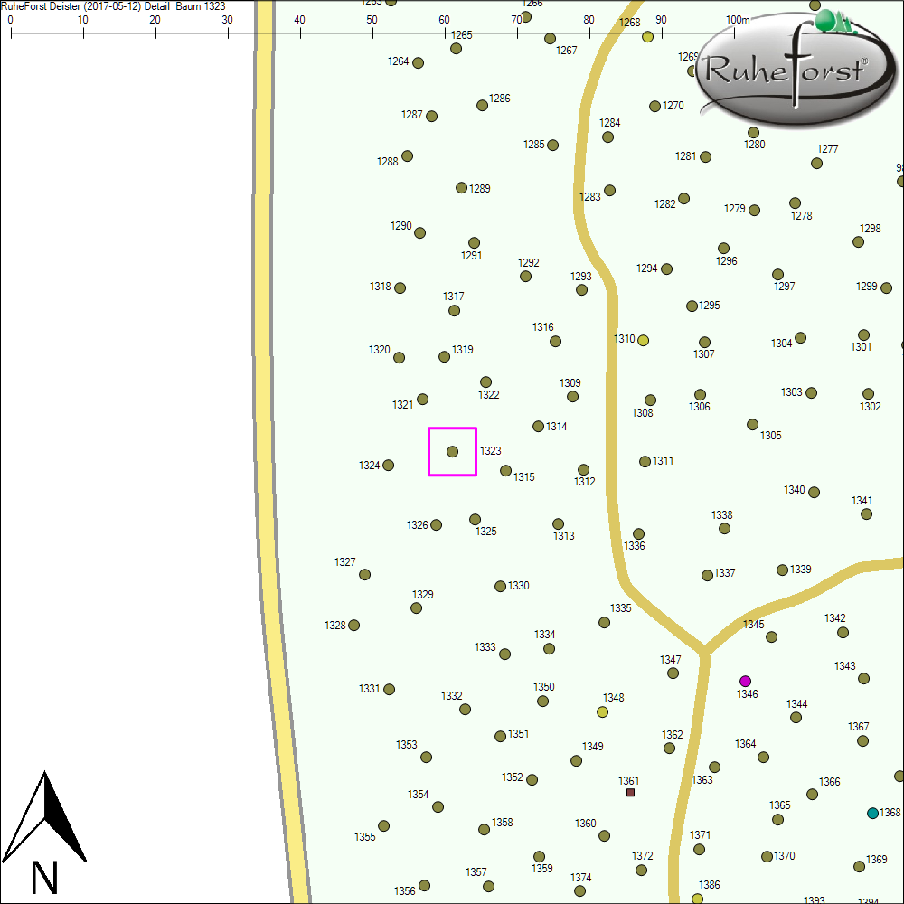 Detailkarte zu Baum 1323