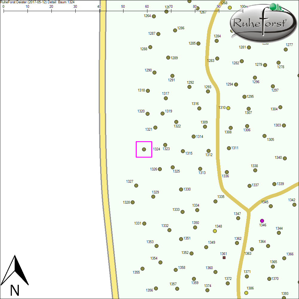Detailkarte zu Baum 1324